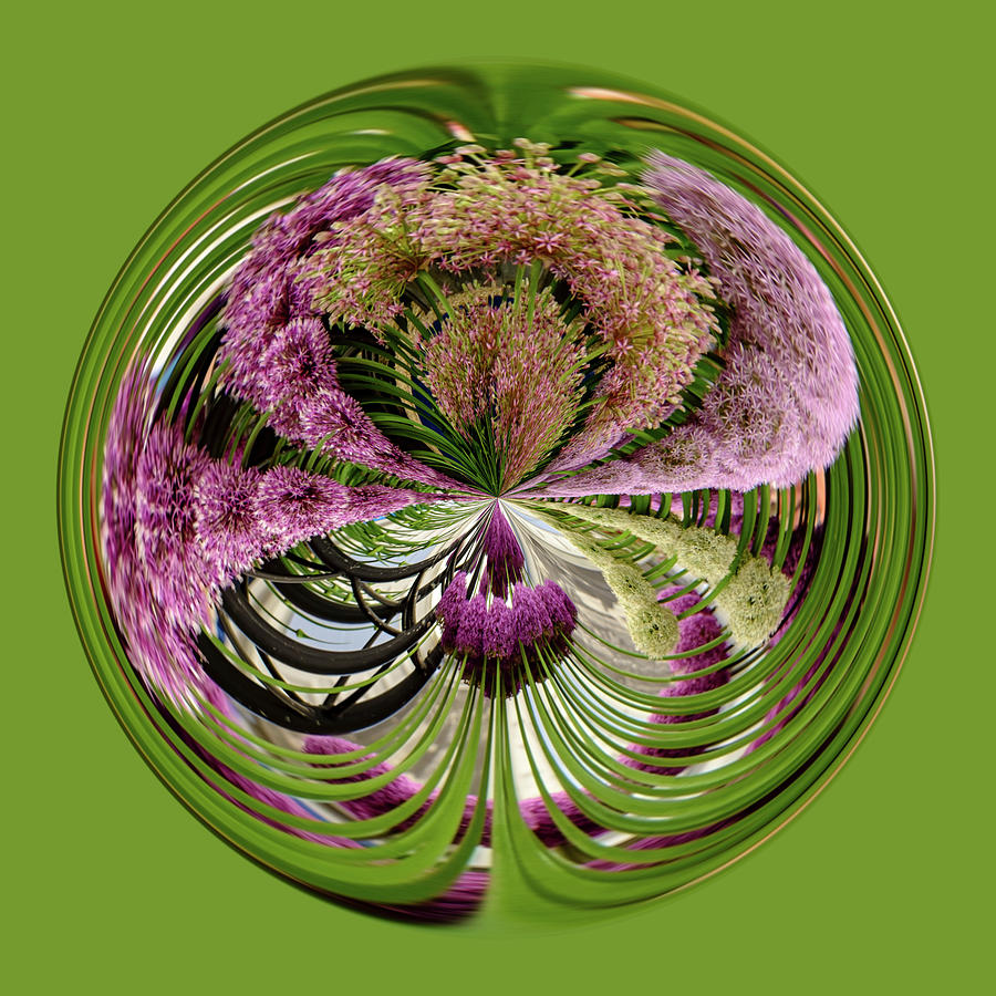 Allium Orb Digital Art by Michelle Whitmore