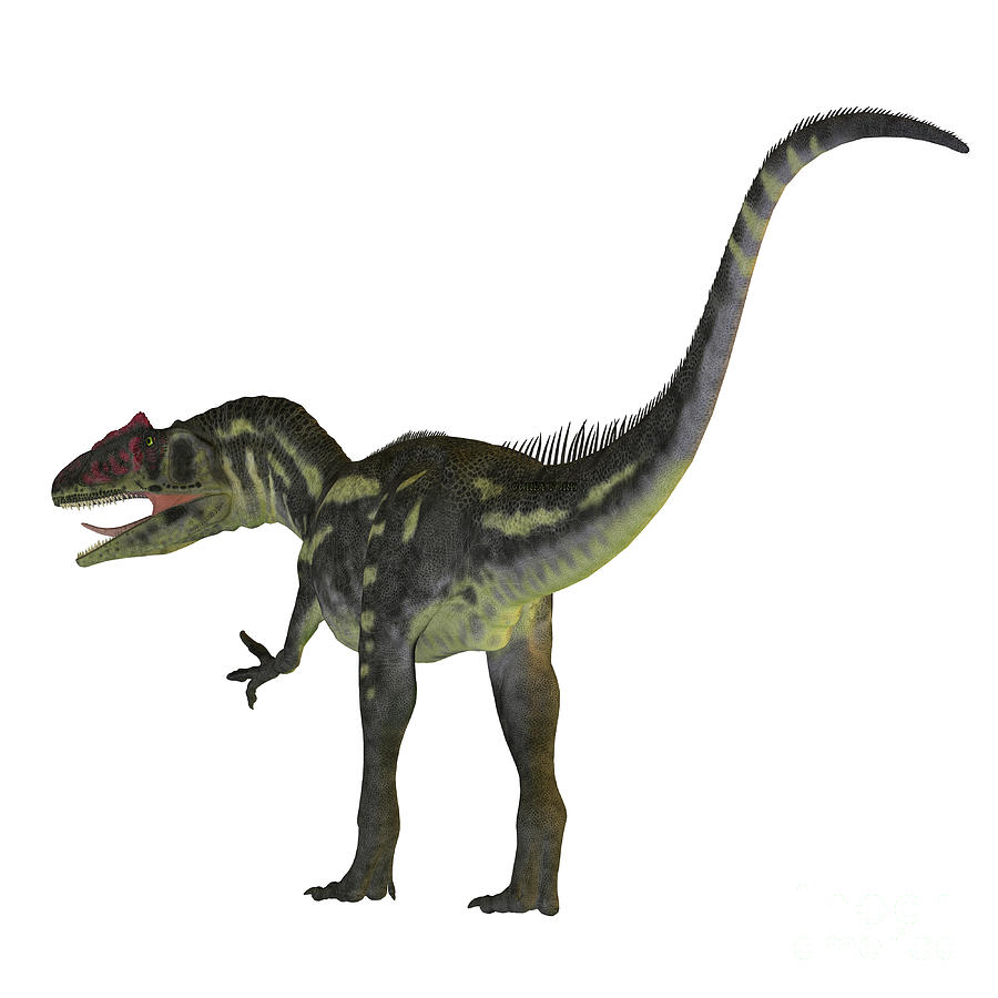 dinosaur with tail on head