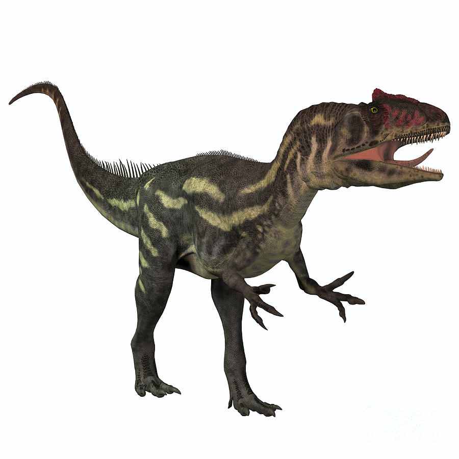 dinosaurs like allosaurus