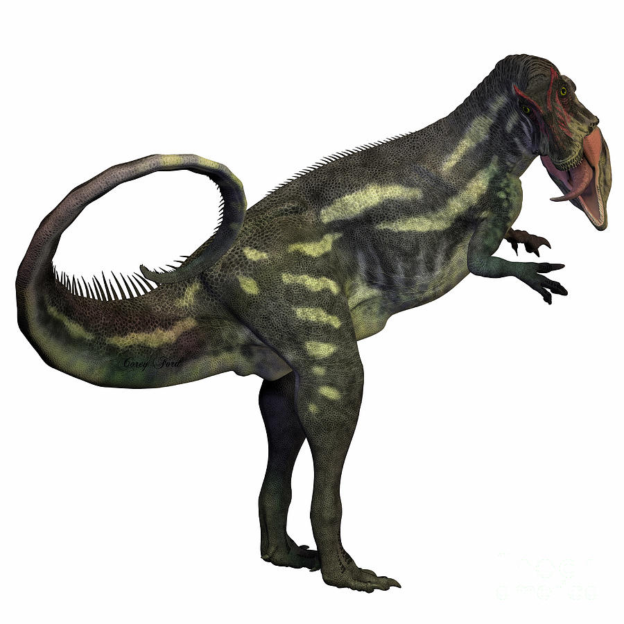 Allosaurus, bipedal carnivorous dinosaur available as Framed
