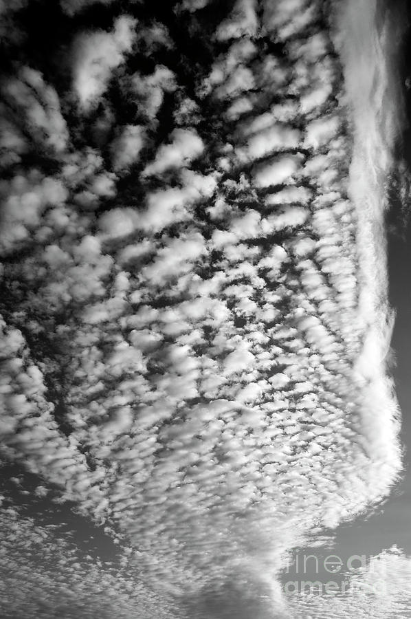 Alltocumulus Cloud Patterns Photograph