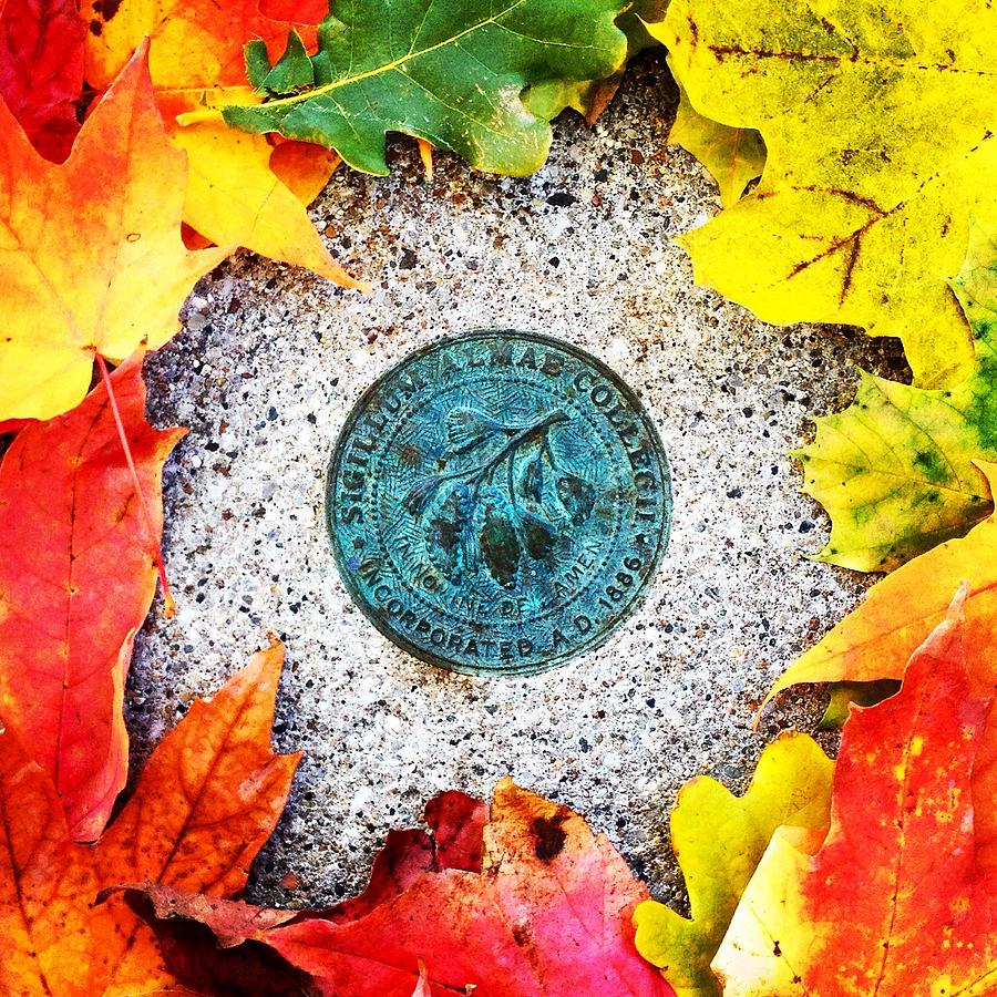 Alma College Seal Photograph by Chris Brown