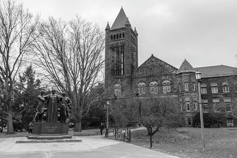 University Of Illinois Photograph - Alma Mater and Law Library University of Illinois  by John McGraw