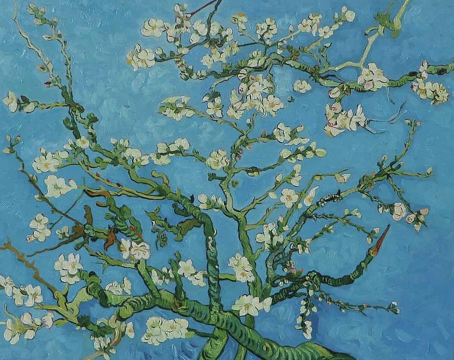 3dRose lsp_155639_6 Almond Blossoms by Vincent Van Gogh 1890 Famous Fine Art by Masters White Flower Branches on Blue 2 Plug Outlet Cover