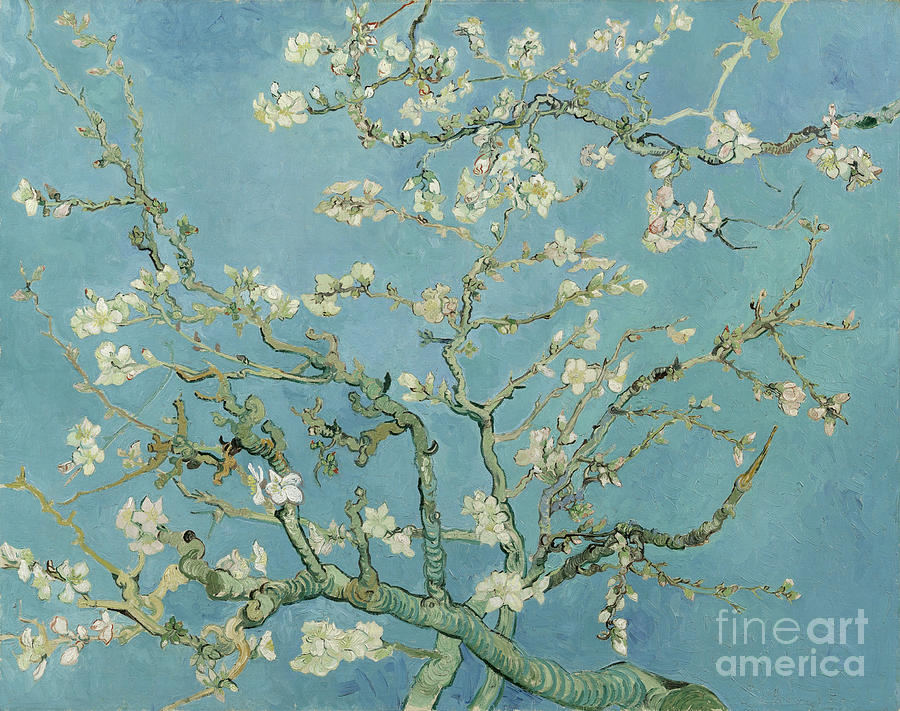 Almond Blossom Painting by Celestial Images
