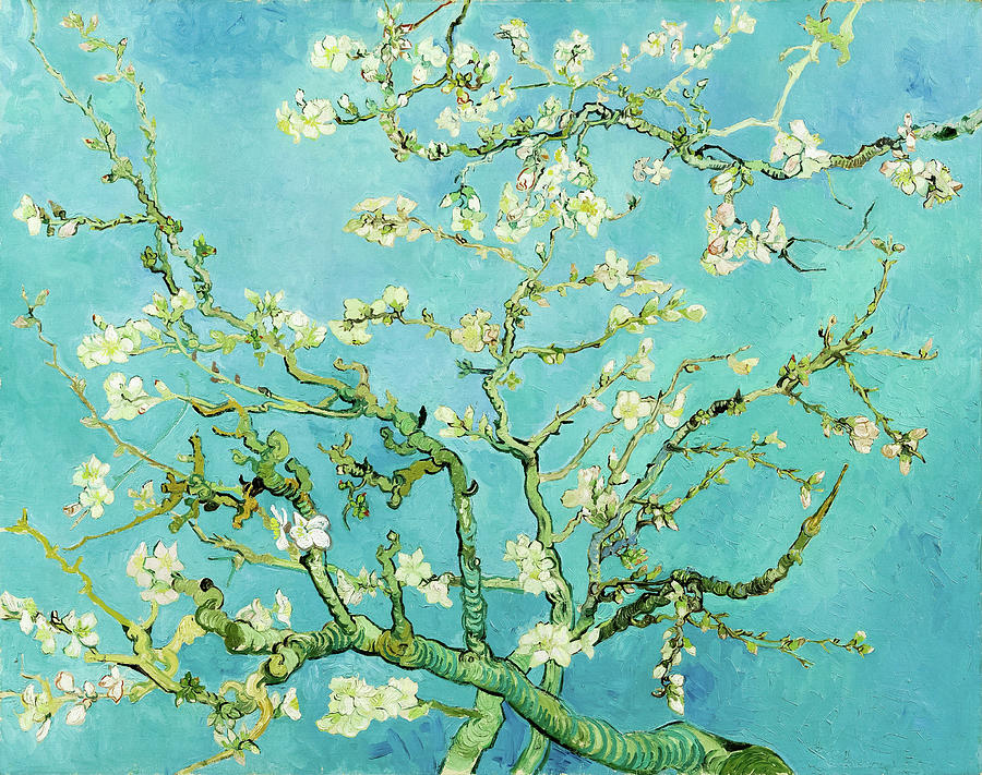 Almond Blossoms in an Almond Tree Painting by Vincent Van Gogh - Fine ...