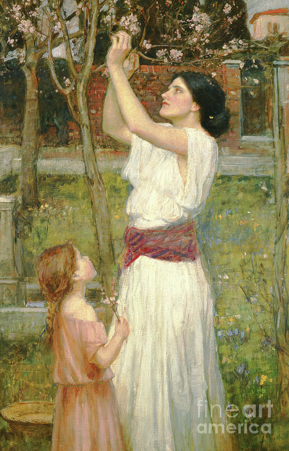 Almond Blossoms Painting by John William Waterhouse