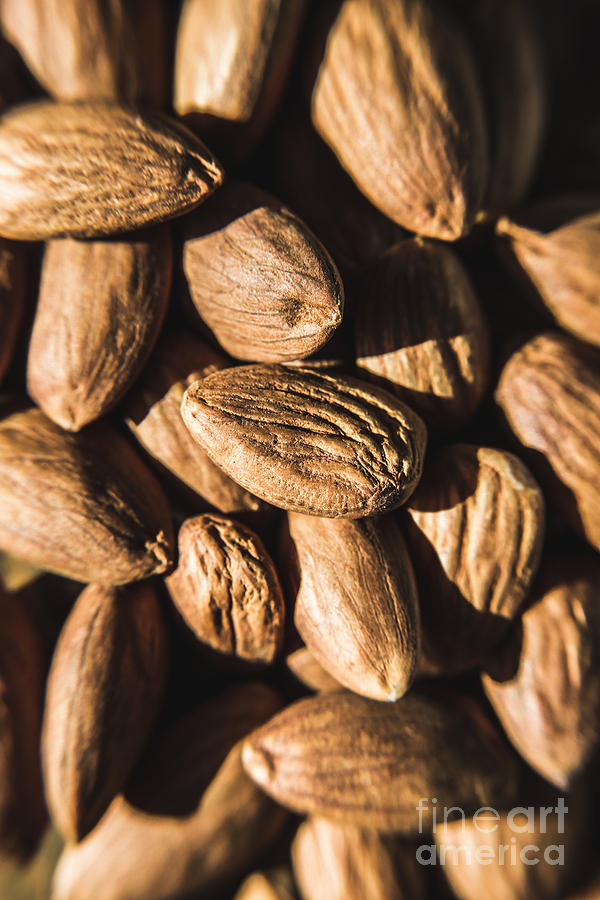 Almond Nuts Photograph