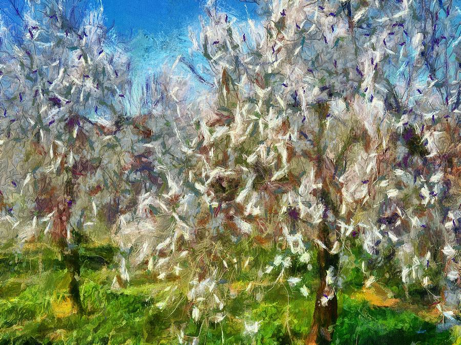 Almond Orchard Blossom Painting by Taiche Acrylic Art