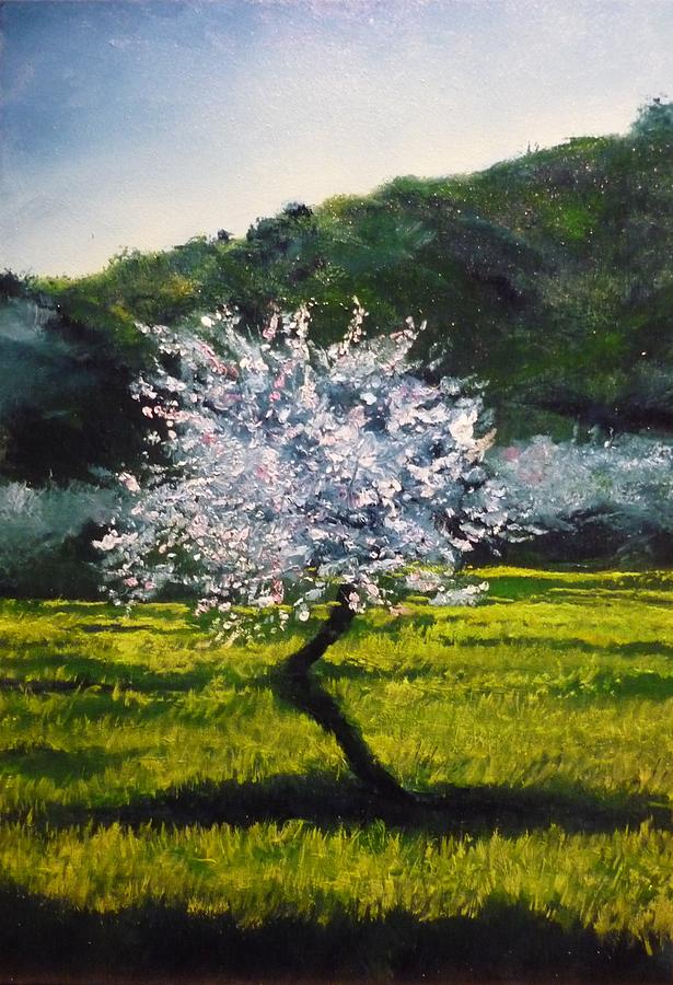 Almond Tree In Blossom Painting