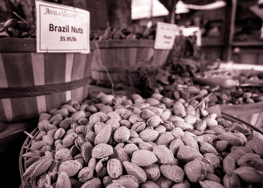 Almonds By The Bushel Photograph by Caitlyn Grasso