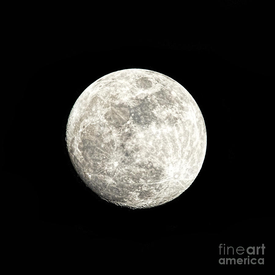 Almost A Full Moon Photograph by Sharon McConnell