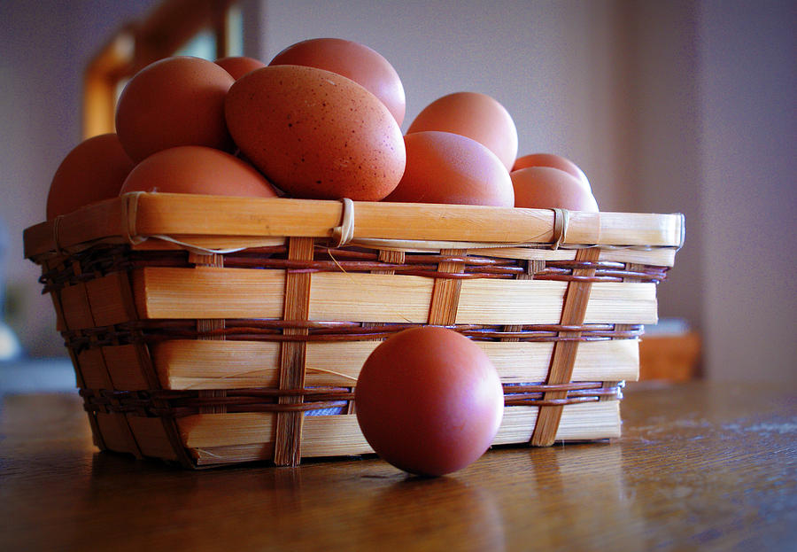 Almost All My Eggs In One Basket Photograph