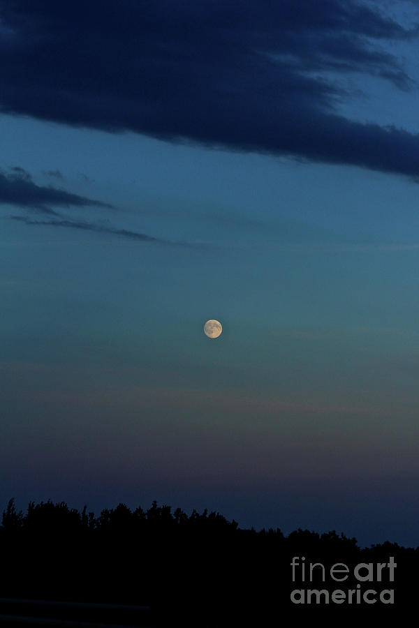 Almost Full Moon Photograph by Ann E Robson