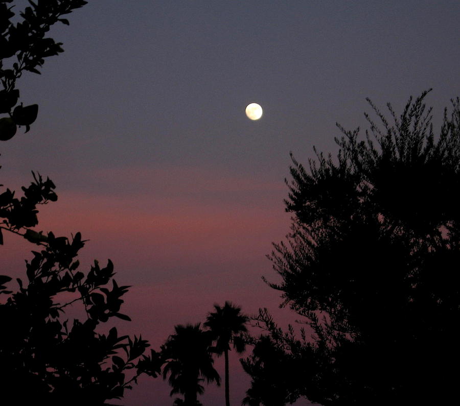Almost Full Moon At Sunset Photograph by Jay Milo