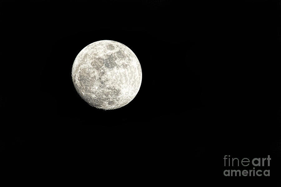 Almost Full Moon Photograph by Sharon McConnell