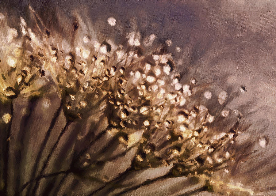 Nature Mixed Media - Almost Sepia Delicate Dandelions by Georgiana Romanovna
