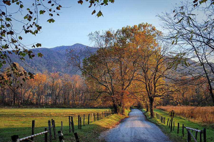 Almost Sunset at Sparks Lane Photograph by Kristina Plaas - Pixels