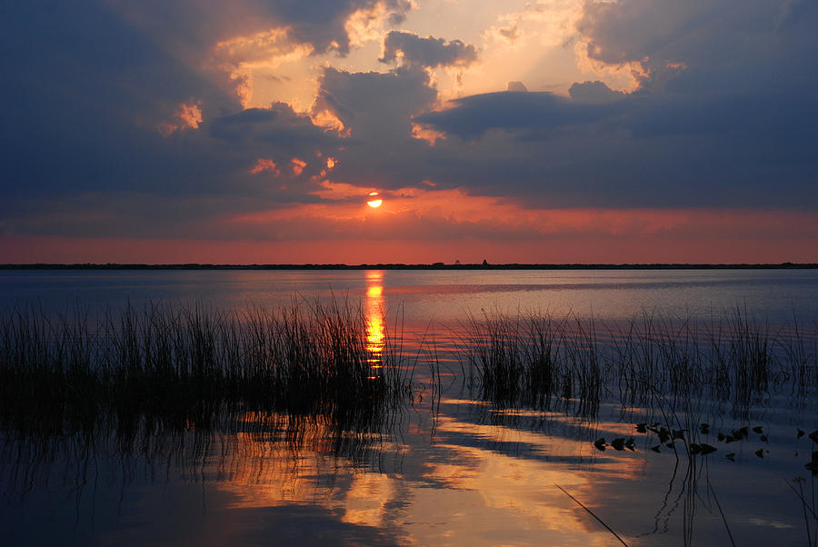 Sunset Photograph - Almost Sunset in Florida by Susanne Van Hulst