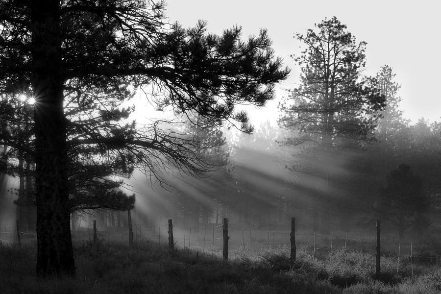 Almost to Fairyland - God Rays Photograph by Nikolyn McDonald
