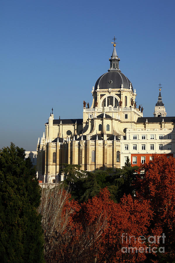 Almudena Cathedral and Autumn Trees Madrid Photograph by James Brunker
