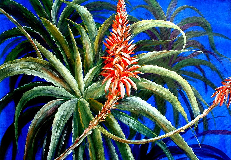 Aloe in Bloom Painting by Patricia Rachidi