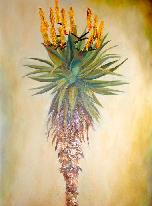 Aloe in the sunlight Painting by Sunel De Lange