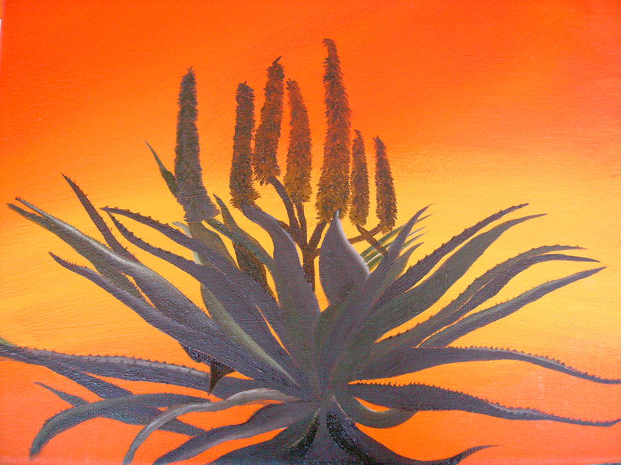Sunset Painting - Aloe Sunset by Dion Halliday