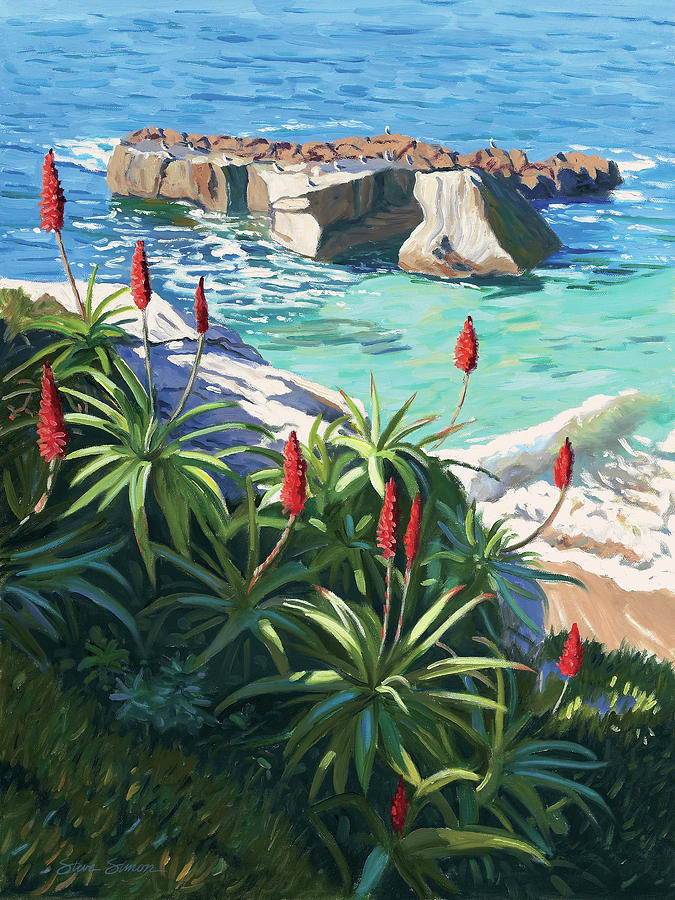 Aloes Peeking from Shadows Painting by Steve Simon
