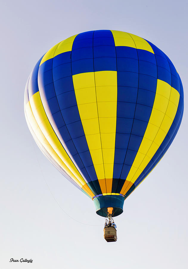 Aloft in A Balloon Photograph by Fran Gallogly