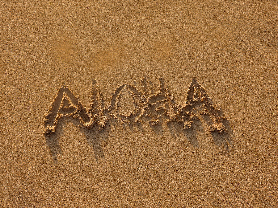 Aloha in the Sand Photograph by Pamela Walton