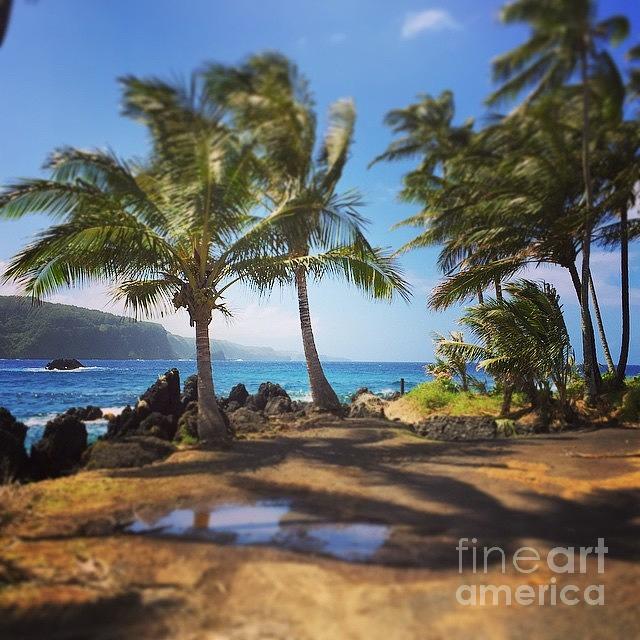 Paradise Photograph - #aloha #keanae #myislandhome #maui by Sharon Mau
