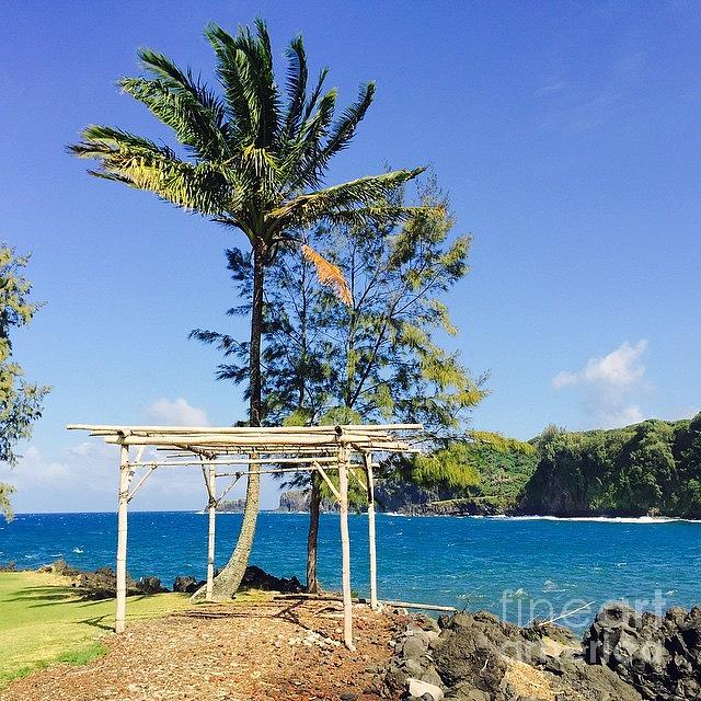 Paradise Photograph - #aloha #keanae #tropical by Sharon Mau