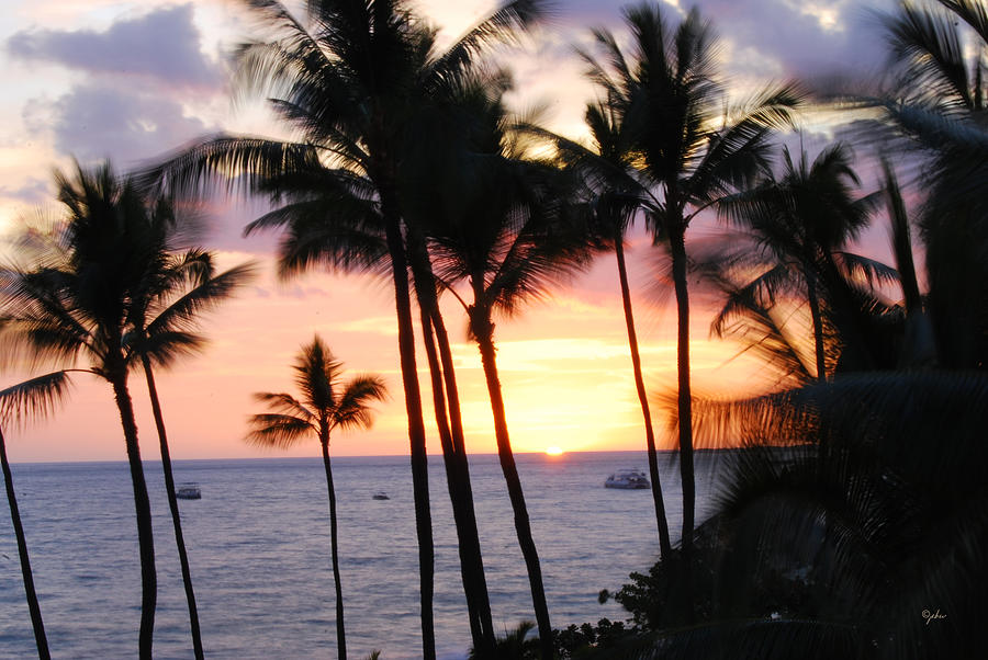 Aloha Oe Photograph by Paulette B Wright