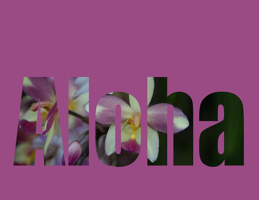 Orchid Photograph - Aloha Orchids Type by Kerri Ligatich