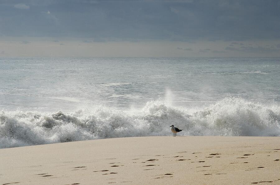 Alone - Jersey Shore Photograph by Angie Tirado