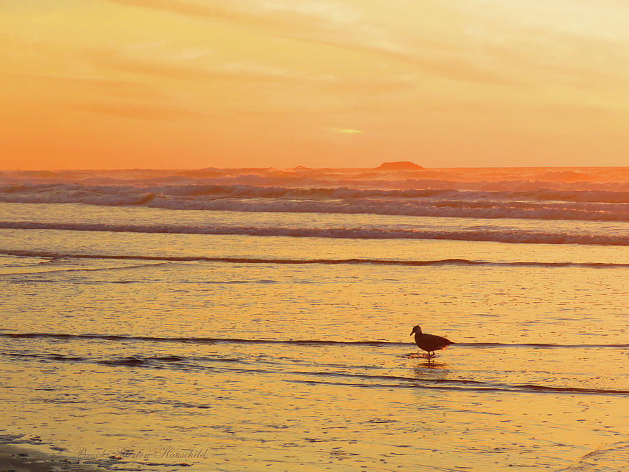Alone Again Naturally - Oregon Coastal Sunset - Nature Photography Photograph by Brooks Garten Hauschild