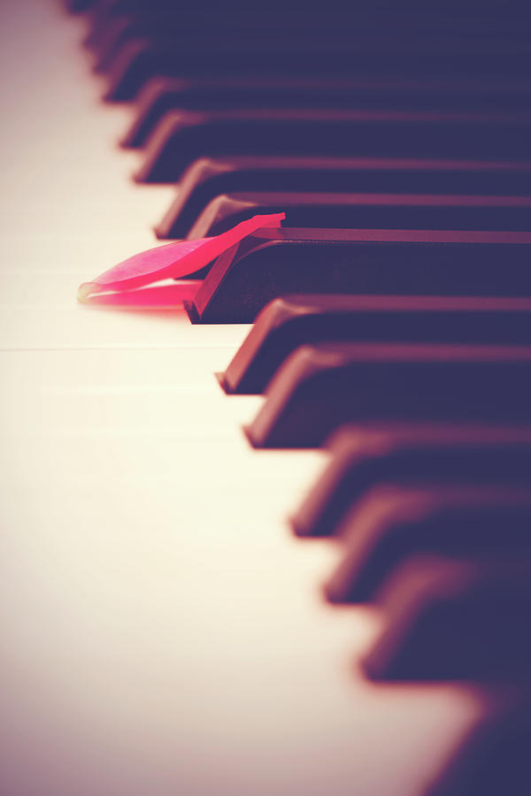 Alone At A Piano Photograph by Iryna Goodall