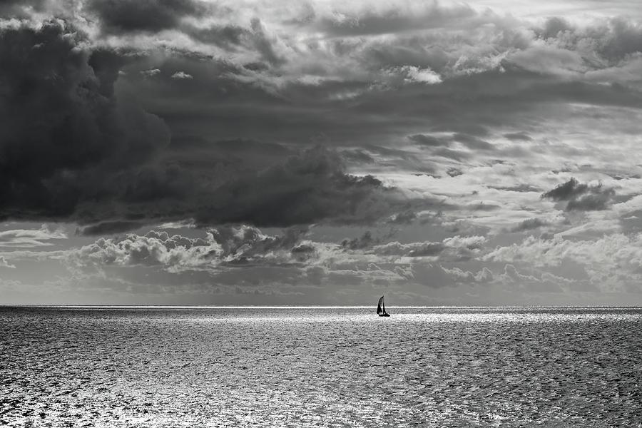 Alone But Not Lonely Black and White Photograph by Allan Van Gasbeck