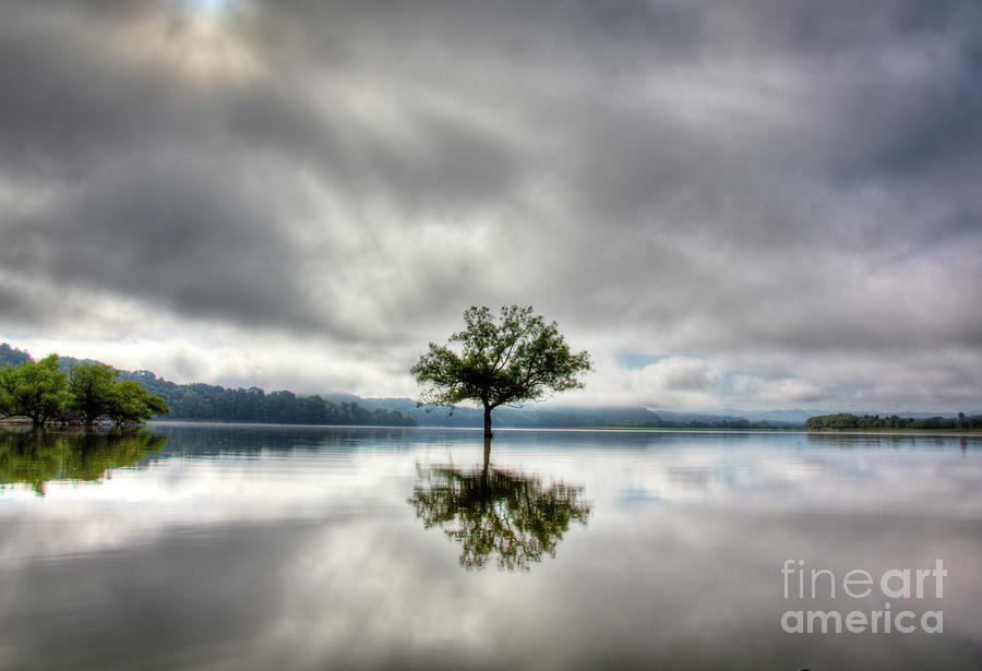 Tree Photograph - Alone by Douglas Stucky