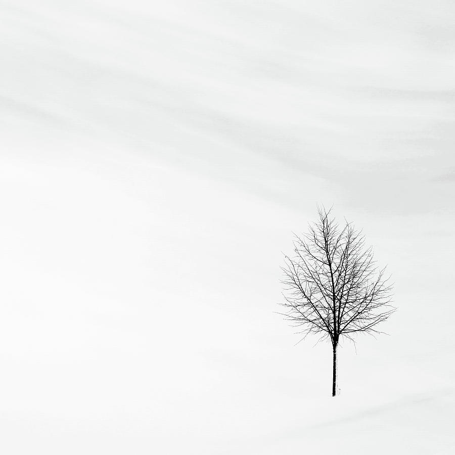 Alone in the Storm Photograph by Andrea Kollo Alone in the Storm Photograph by Andrea Kollo