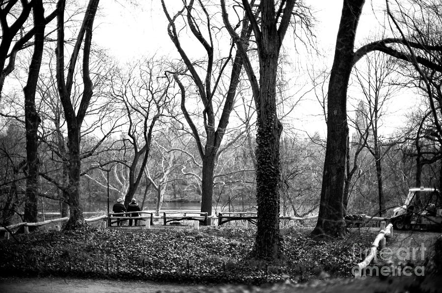 Alone in Central Park 2016 in New York City Photograph by John Rizzuto