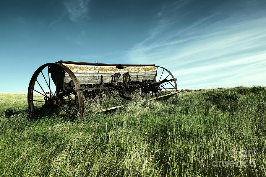 Vintage Photograph - Alone in the field  by Jeff Swan