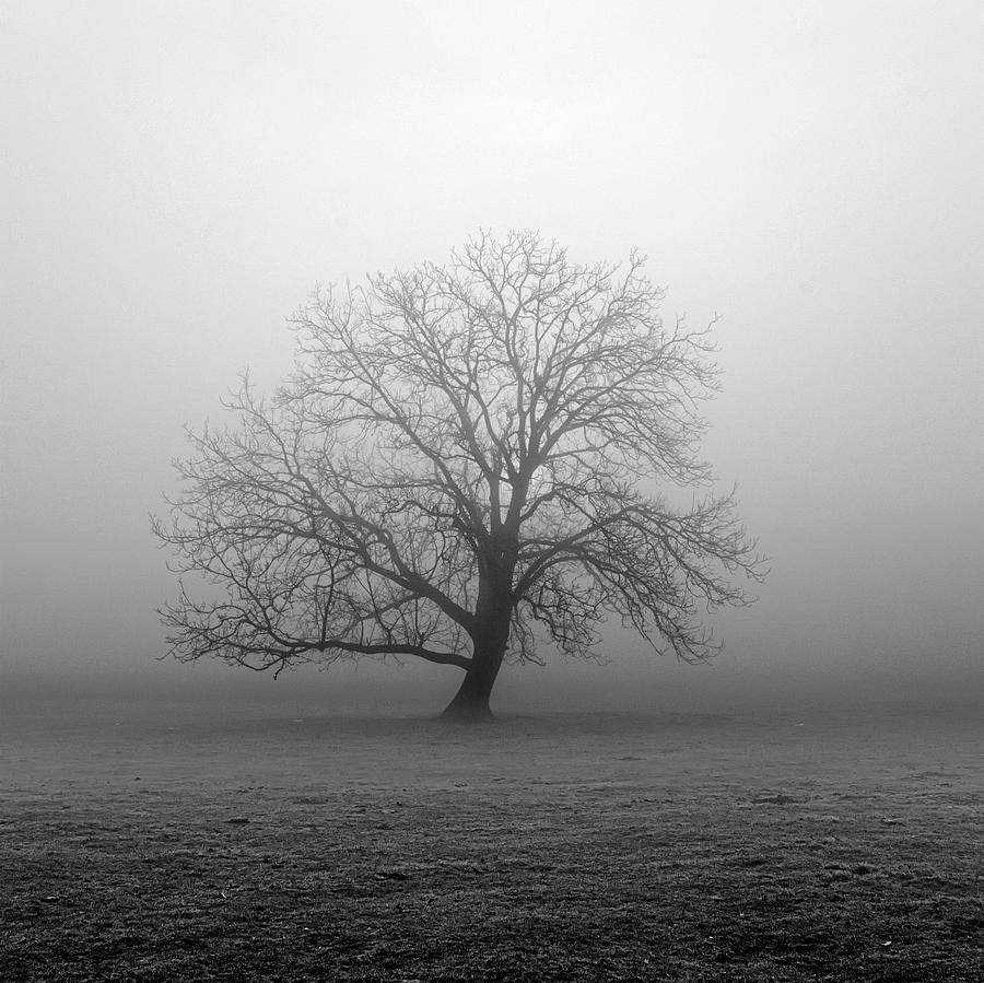 Black And White Photograph - Alone in the fog by Plamen Petkov