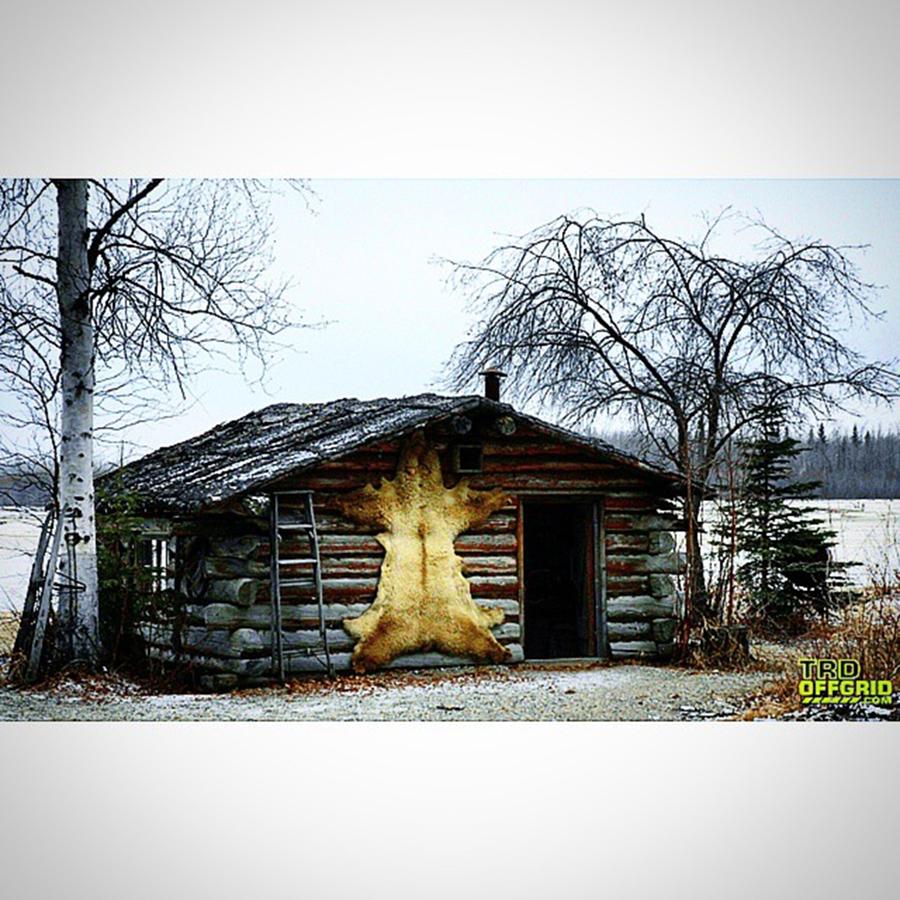 Cabin Photograph - Alone In The Wilderness !
#cabins by Pat Weitzner