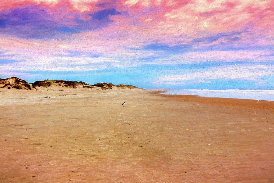 Alone in the World on the Outer Banks AP Digital Art by Dan Carmichael