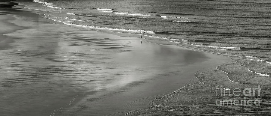 Alone Photograph by Nicholas Burningham