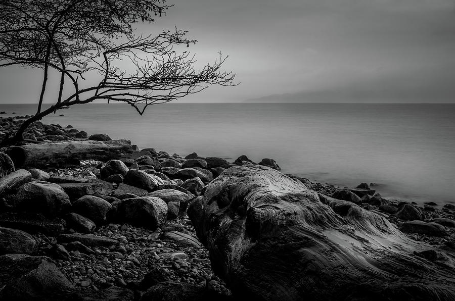 Alone on Spanish Banks by Brad Koop Alone on Spanish Banks by Brad Koop