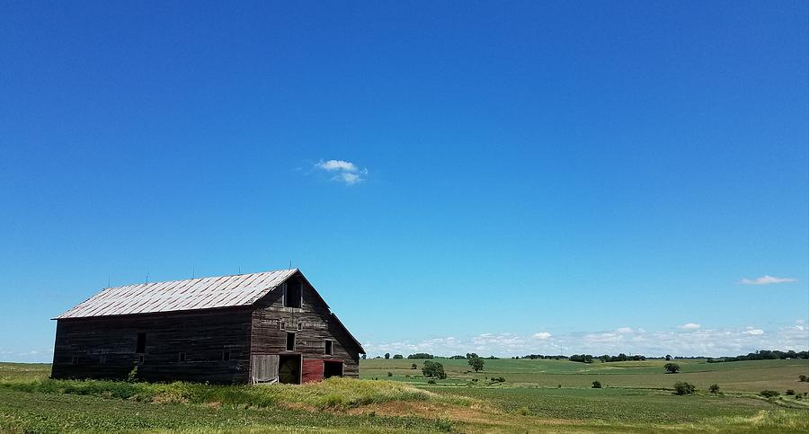 Alone On The Prairie Photograph by Caryl J Bohn
