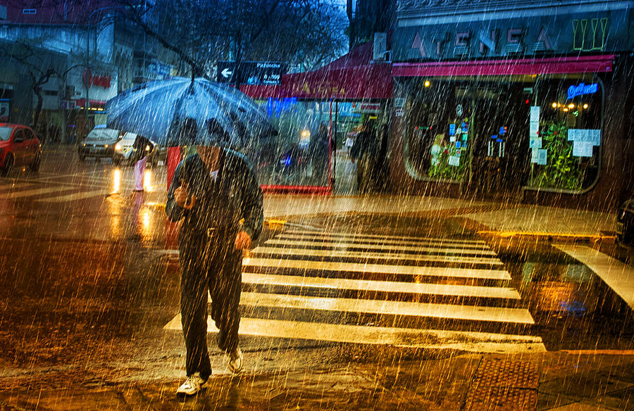 Alone under the rain Photograph by Hans Wolfgang Muller Leg - Fine Art ...